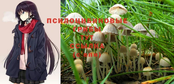 PSILOCYBIN Нефтекумск