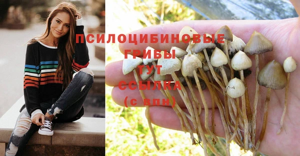 спиды Новокубанск